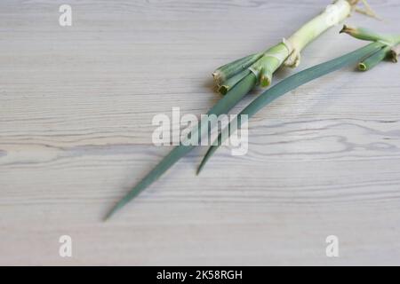 Bunch of Fresh green Chives with roots with cut onion feathers laying on the white rustic wooden shabby table. Healthy food concept. Isolated, close-u Stock Photo