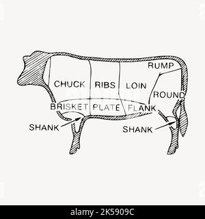 Vector Beef Cuts Diagram in vintage style of meat Stock Vector Image ...
