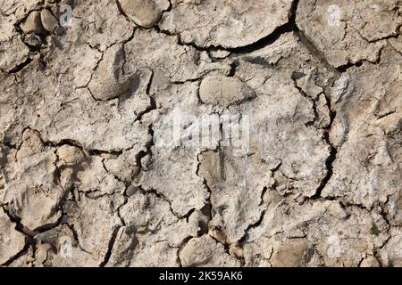 27.07.2022, Germany, North Rhine-Westphalia, Düsseldorf - Dry riverbed in the Rhine. After a long drought, the Rhine level drops to 71 cm today. Inlan Stock Photo