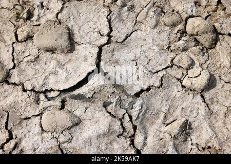 27.07.2022, Germany, North Rhine-Westphalia, Düsseldorf - Dry riverbed in the Rhine. After a long drought, the Rhine level dropped to 71 cm today. Inl Stock Photo