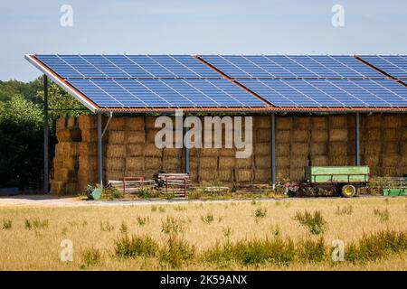 03.08.2022, Germany, North Rhine-Westphalia, Werne - Solar roof on a barn. 00X220803D682CAROEX.JPG [MODEL RELEASE: NO, PROPERTY RELEASE: NO (c) caro i Stock Photo