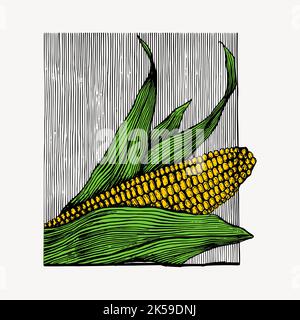 Corn clipart, vintage vegetable illustration vector. Stock Vector