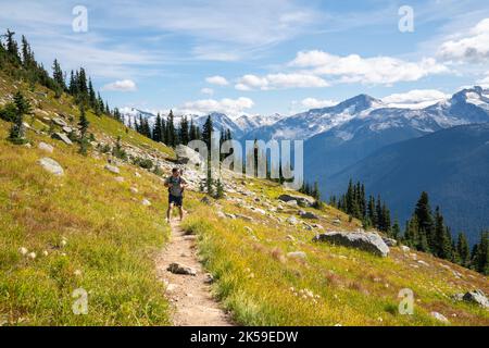 A hiker follows the High Note Trail, immersed in the stunning vistas of Whistler Mountain's alpine paradise. Stock Photo