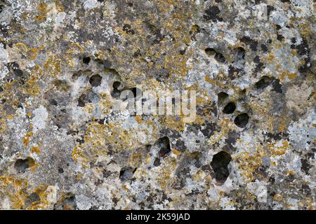 Lichen on old limestone. UK Stock Photo