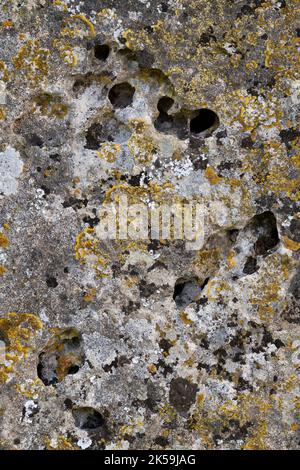 Lichen on old limestone. UK Stock Photo
