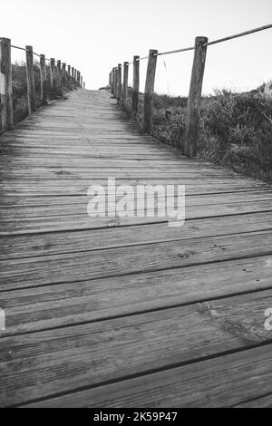 Wooden fence and walkway to beach black and white. Empty path monochrome. Wooden columns and path. Walking concept. Camino de Santiago way. Stock Photo