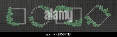 Silver frames with eucalyptus leaves isolated on transparent background. Natural green foliage borders decor of round, square, rectangular and rhombus Stock Vector