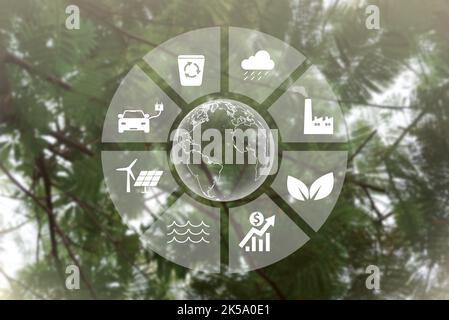 Global symbol eco Sustainable business on network connection on green tree background environmental icon ESG and net zero concept. Stock Photo