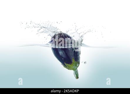 Aubergine splashing in water. Side view, on white background. Stock Photo