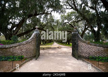 Gate at the Boone Hall plantation in Charleston SC USA Stock Photo