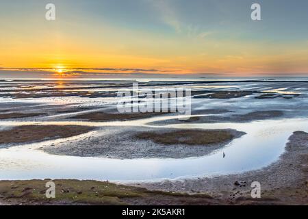 Aerial view over salt marsh plains on the Wadden Sea coast. Uithuizen, Groningen Province. Stock Photo