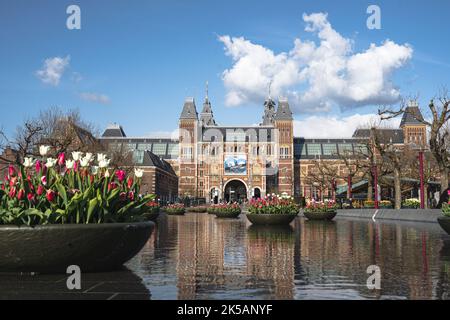 Rijksmuseum with Tulips Museum in Amsterdam Netherlands Holland Spring Stock Photo