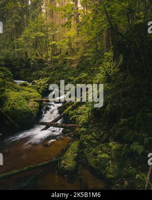 A vertical shot of St. Wolfgangwaterfall flowing down the rocks covered with green moss in a forest Stock Photo