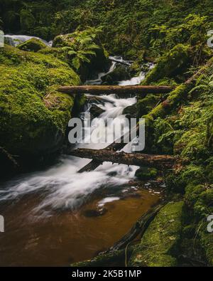 A vertical shot of St. Wolfgang waterfall flowing down the rocks covered with green moss in a forest Stock Photo