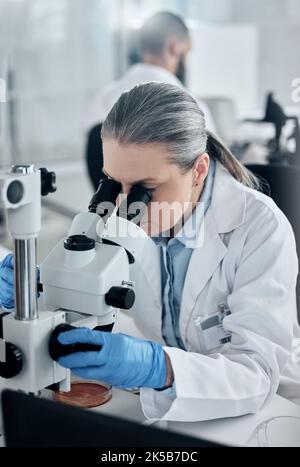 Science, research and microscope with woman in laboratory working on medical, vaccine and pharmacy development. Innovation, healthcare and medicine Stock Photo