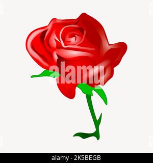 Red rose. Vector illustration Stock Vector Image & Art - Alamy