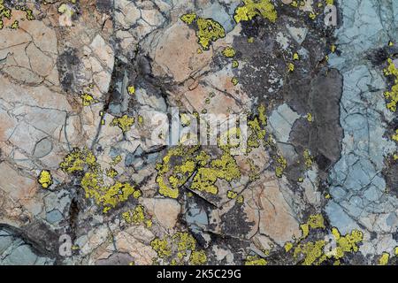 Abstract moss and lichen growing on rocks and granite slabs Stock Photo