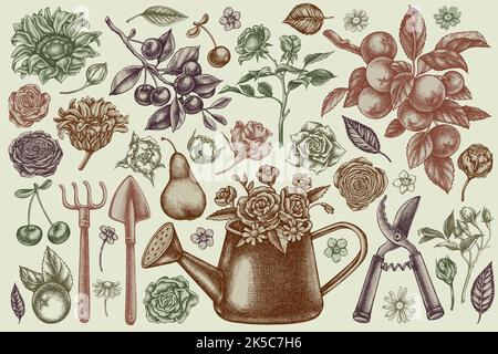 Gardening hand drawn vector illustrations collection. Stylized watering can, apples, cherry, rose, pears, shovel, rake, secateurs, chamomile Stock Vector