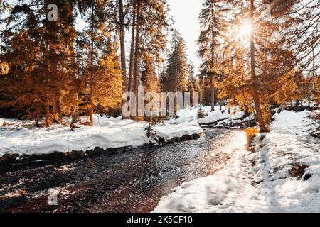 Winter at Oderteich Reservoir in Harz Mountains near Goslar and Braunlage, Lower Saxony, Germany, Europe Stock Photo