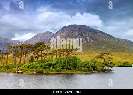 Europe, Western Europe, Ireland, Republic of Ireland, County Galway, Connemara, National Park, tree island in lake in front of mountain peak Stock Photo
