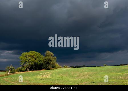 Dark rain clouds pass over the Fläming in eastern Saxony-Anhalt, Leitzkau, Saxony-Anhalt, Germany Stock Photo