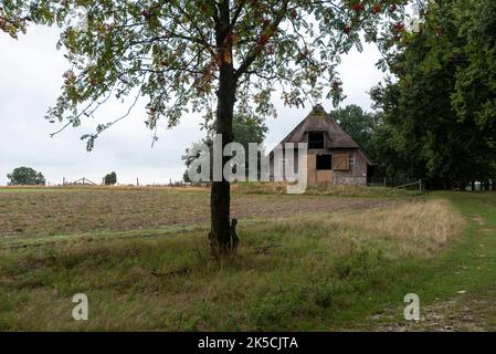 Thatched barn, agricultural farm, Wilsede, Lüneburger Heide, Lower Saxony, Germany Stock Photo