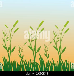 Cattails Reed Bushes With Green Grass Field With Blue Sky Sunset Horizon Stock Vector
