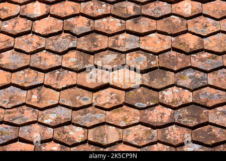 Covered old tiled roof. Stock Photo