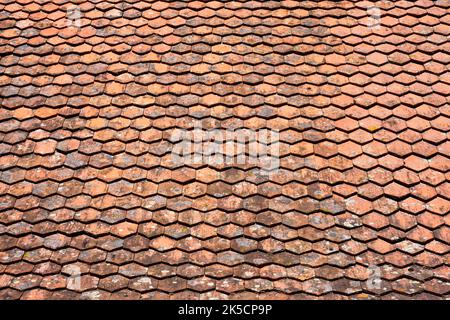 Covered old tiled roof. Stock Photo