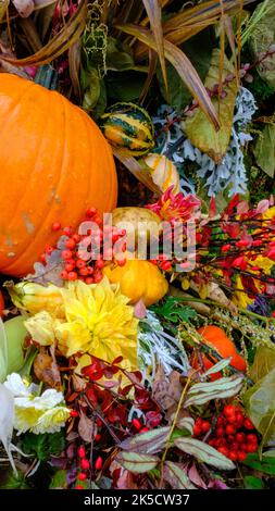 Seasonal decorations with pumpkins and flowers outside. Autumn harvest, Thanksgiving or Halloween background. Autumn decorations of flowers and pumpki Stock Photo