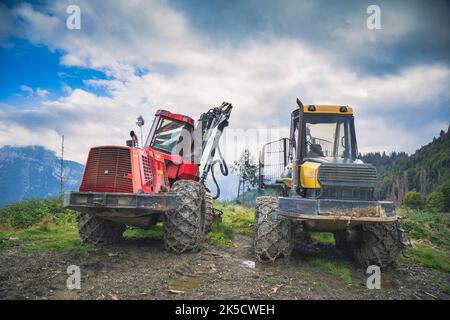 Italy, Veneto, provnce of Belluno, Dolomites. Harvester and Forwarder forestry vehicle in a forest hit by the storm Vaia Stock Photo