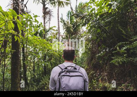 Male hiker with backpack trekking on footpath in tropical rainforest Stock Photo