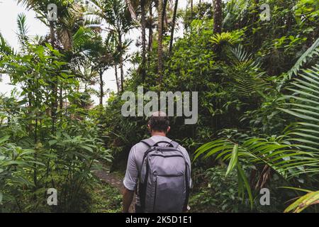 Male hiker with backpack trekking on footpath in tropical rainforest Stock Photo