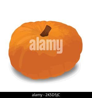 Orange pumpkin isolated on a white background, vector illustration Stock Vector