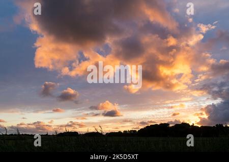 Netherlands, Texel, landscape near Den Burg, evening light, clouds Stock Photo