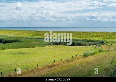 Netherlands, Texel, east coast, dike, bike path Stock Photo