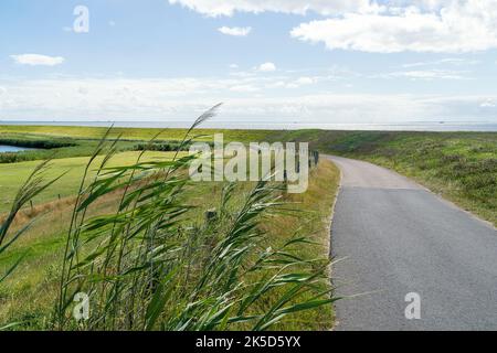 Netherlands, Texel, east coast, dike, bike path Stock Photo