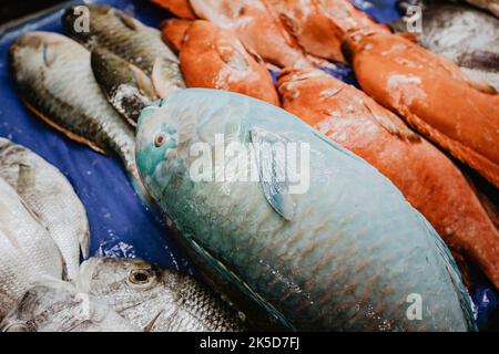 Saudi Arabia, Mecca province, Jeddah/Jeddah, fish market, fishes Stock Photo