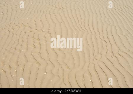 Ribs on the beach, North Sea, West Flanders, Flanders, Belgium Stock Photo