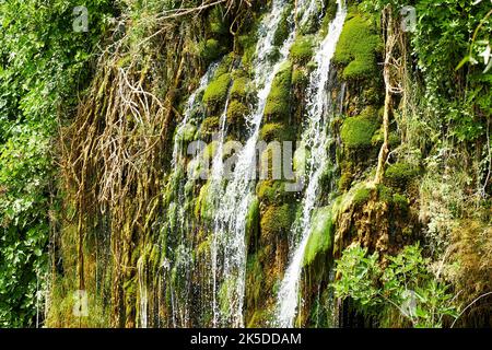 Small waterfall stream over the cliff in the jungle. Rainforest nature backgrounds Stock Photo