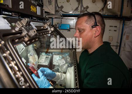 NASA astronaut Bob Hines conducts the Foams and Emulsions physics ...