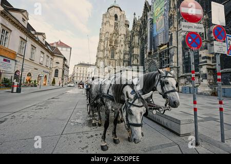 Vienna, Austria - May 17, 2022: Horses and carriage at street of Vienna. Stock Photo