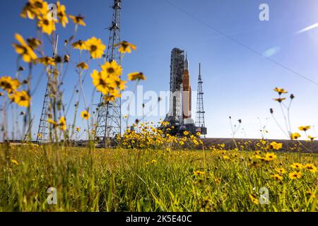 With wildflowers surrounding the view, NASA's Space Launch System (SLS) Moon rocket carried atop the Crawler-Transporter 2 arrives at LaunchPad 39B at the agency's Kennedy Space Center, Florida on June 6, 2022. The first in an increasingly complex series of missions, Artemis I will test the SLS rocket and Orion spacecraft as an integrated system prior to crewed flights to the Moon. Through Artemis, NASA will land the first woman and first person of colour on the Moon, paving the way for a long-term lunar presence and using the Moon as a steppingstone to Mars  Credit: NASA/ Smegelsky Stock Photo