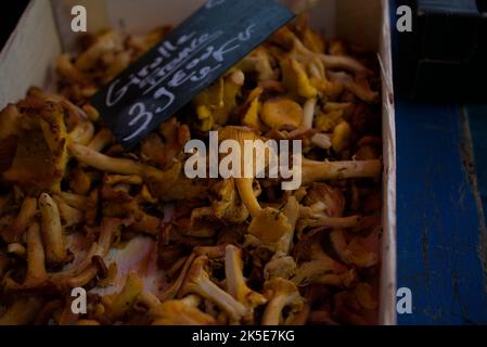 Girolle mushrooms in a local french market, Lyon Stock Photo