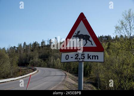 Warning sign for elk at E6 road in Nordland in Norway. Stock Photo