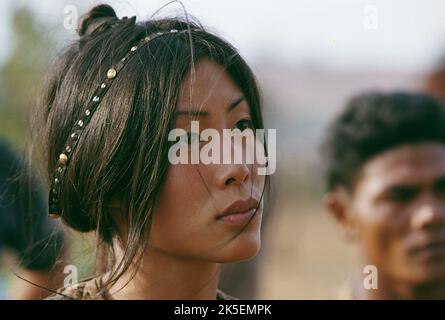 MAI ANH LE, TWO BROTHERS, 2004 Stock Photo