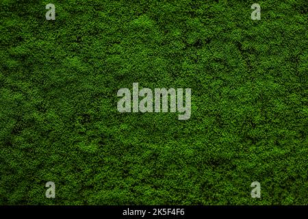 Beautiful green color moss seamless abstract pattern texture nature background image concept, Mosses wallpaper. wall covered in moss. Stock Photo