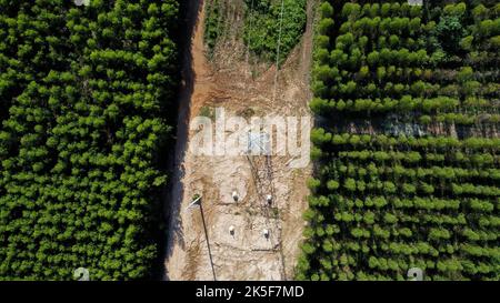 Aerial view of high voltage pylon foundation construction site. Top view of construction of power lines in the forest. Stock Photo