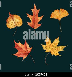 watercolor autumn leaves collection vector design illustration Stock Vector