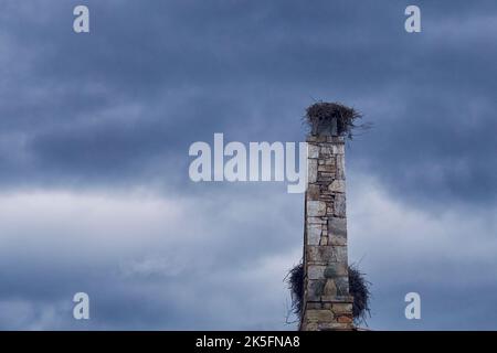 A brick chimney with bird nests against a blue sky Stock Photo